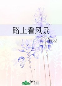 路上看风景