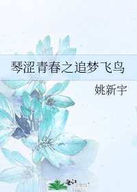 琴涩青春之追梦飞鸟